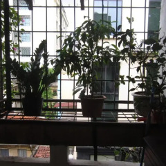 Апартаменты Wind Chimes Studio