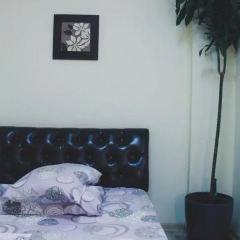 DimAL Hostel Almaty Стандартный номер разные типы кроватей фото 4