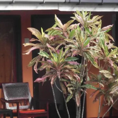 Отель The Herb Garden интерьер отеля