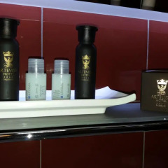 Artemisia Palace Hotel 4* Другое