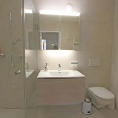Отель Skyline House Ferienapartments Швейцария, Санкт-Мориц - отзывы, цены и фото номеров - забронировать отель Skyline House Ferienapartments онлайн ванная фото 2