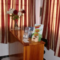 Отель Hostal Los Rosales удобства в номере фото 2
