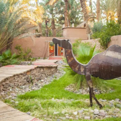 Отель Riad Lamane Марокко, Загора - отзывы, цены и фото номеров - забронировать отель Riad Lamane онлайн фото 8