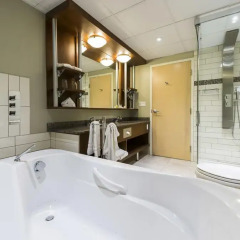 Отель Hôtel & Suites Le Dauphin Québec Канада, Квебек - отзывы, цены и фото номеров - забронировать отель Hôtel & Suites Le Dauphin Québec онлайн ванная