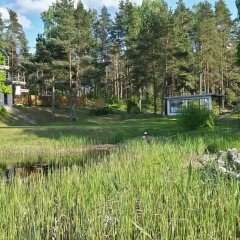 Отель Cottage Elingi фото 4