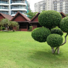 Отель Marsi Pattaya Таиланд, Паттайя - отзывы, цены и фото номеров - забронировать отель Marsi Pattaya онлайн фото 2