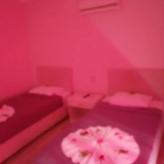 Manavgat Motel Стандартный номер с различными типами кроватей фото 4