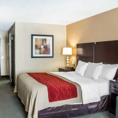 Отель Holiday Inn Express Columbus Downtown США, Колумбус - отзывы, цены и фото номеров - забронировать отель Holiday Inn Express Columbus Downtown онлайн комната для гостей фото 5