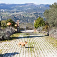 Отель Il Polveraio Agriturismo Lucia Монтескудаио