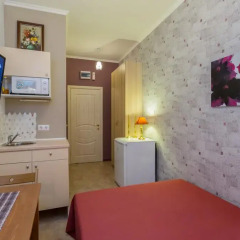 Отель Minihotel Metro Admiralteiskaya Санкт-Петербург удобства в номере фото 2