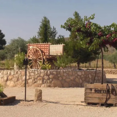 Отель Casa Rural El Olivar de las Pepinas Сакс фото 2