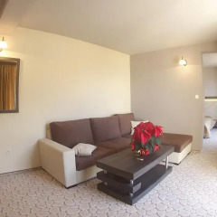 Hotel Vitosha Tulip комната для гостей фото 3