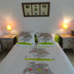 Отель B&B l'Améthyste Сомюр комната для гостей фото 2