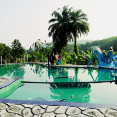 Отель Manikgoda Tea Paradise бассейн фото 3