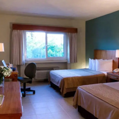 Отель Comfort Inn Puerto Vallarta 3* Стандартный номер с разными типами кроватей фото 2