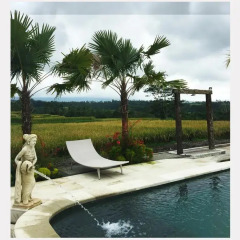 Отель Ti Amo Bali Resort бассейн