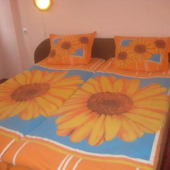 Aseva House Family Hotel комната для гостей фото 3