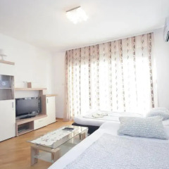 Апартаменты Apartments Adzic Lux Апартаменты с различными типами кроватей фото 7