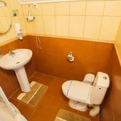 Айвенго Отель 3* Стандартный номер с разными типами кроватей фото 5