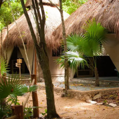 Отель Akumal Natura 3* Стандартный номер с различными типами кроватей фото 5