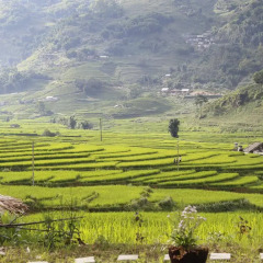 Отель Golden Rice Garden Sapa Шапа спортивное сооружение