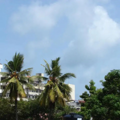 Апартаменты Ocean Breeze Apartment Colombo пляж