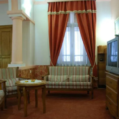 Hotel Restaurant Odeon 3* Люкс с различными типами кроватей фото 6