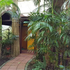 Отель Birds & Bees Resort 3* Стандартный номер с различными типами кроватей