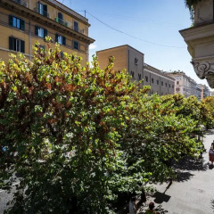 Отель Residenza Vatican Suite Полулюкс с различными типами кроватей фото 8