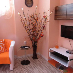 Апартаменты Orange Flower Apartments комната для гостей