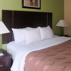 Отель Quality Inn & Suites Glenmont - Albany South комната для гостей фото 3