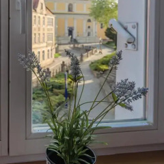 Отель Hill Inn 3* Стандартный номер фото 11