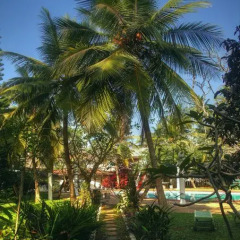 Отель Ypsylon Tourist Resort Шри-Ланка, Берувела - отзывы, цены и фото номеров - забронировать отель Ypsylon Tourist Resort онлайн фото 6