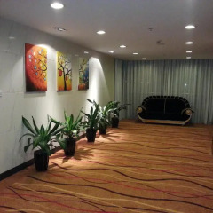 Отель Joyful star Hotel Pu Dong Airport WanXia Китай, Шанхай - 1 отзыв об отеле, цены и фото номеров - забронировать отель Joyful star Hotel Pu Dong Airport WanXia онлайн спа фото 2