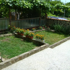 Отель Guest House Paskal Балчик бассейн