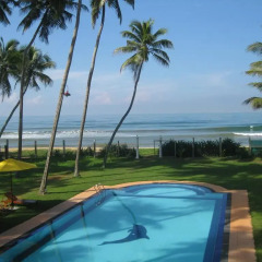 Отель Palm Beach Villa Шри-Ланка, Ваддува - отзывы, цены и фото номеров - забронировать отель Palm Beach Villa онлайн бассейн