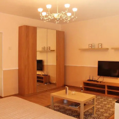 Апартаменты Apartment At Afanasyevsky комната для гостей фото 5