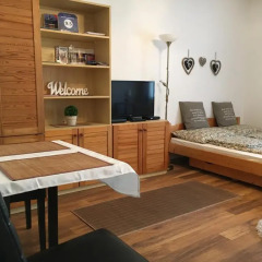 Апартаменты Blue River Apartment комната для гостей фото 2