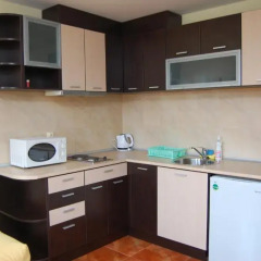 Апартаменты Elit Pamporovo Apartments Апартаменты с различными типами кроватей фото 14