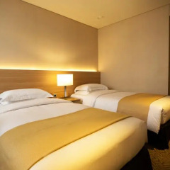 The Summit Hotel Seoul Dongdaemun 3* Стандартный номер с 2 отдельными кроватями фото 2