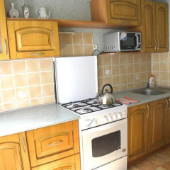 Апартаменты Apartment Lila On Dovatora в номере фото 2