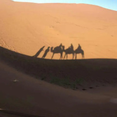 Отель Desert Camel Camp Марокко, Мерзуга - отзывы, цены и фото номеров - забронировать отель Desert Camel Camp онлайн пляж фото 2