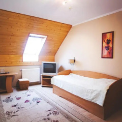 VIP Hotel Стандартный номер разные типы кроватей фото 2