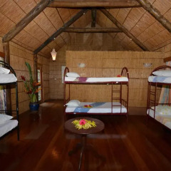 Отель Maravu Taveuni Lodge 2* Кровать в общем номере с двухъярусной кроватью фото 4