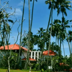 Отель Saffron Beach Шри-Ланка, Ваддува - отзывы, цены и фото номеров - забронировать отель Saffron Beach онлайн пляж