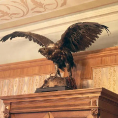 Lion Bridge Hotel Park с домашними животными