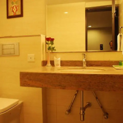 Hotel Classic Diplomat 3* Номер Делюкс с различными типами кроватей фото 3