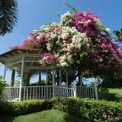 Отель Holiday Inn Resort Montego Bay All Inclusive фото 5
