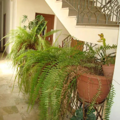 Отель Antonio's House Агридженто