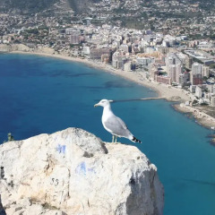 Апартаменты Holiday Apartment Tucan спортивное сооружение